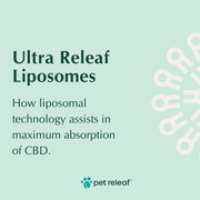 Liposomes Hemp Oil with 14X Better Absorption, For Calming, Mobility, and Overall Health