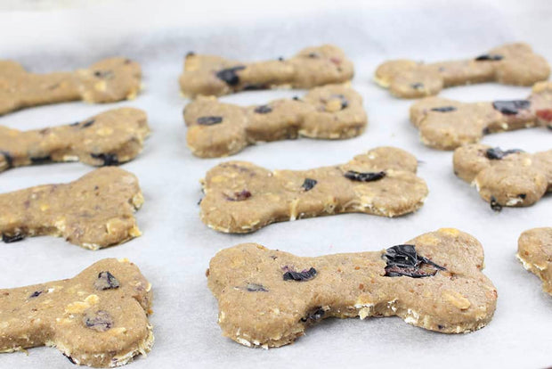Blueberry, Peanut Butter & Coconut Biscuits