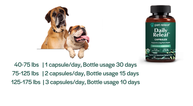 450mg CBD Capsules For All Dogs, Supports Calming, Mobility, and Overall Health