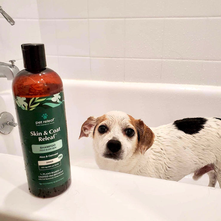 2-in-1 Hemp Shampoo and Conditioner For Dogs, Plant-Based & Limited Ingredient
