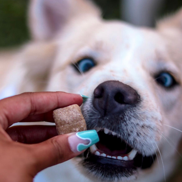 Stress Releaf Bacon CBD Edibites, Calming Chews