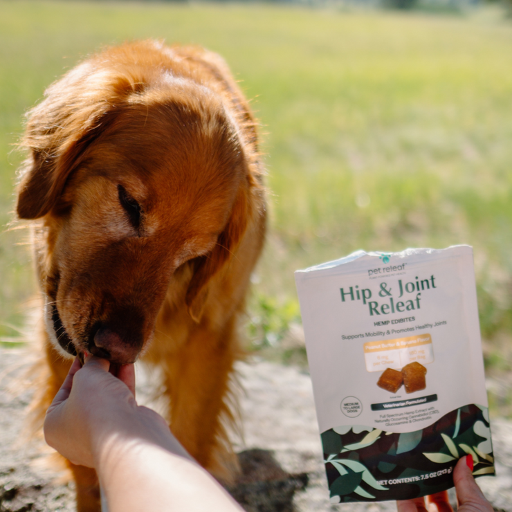 Hip and Joint Releaf Peanut Butter Banana CBD Edibites, Mobility Chews
